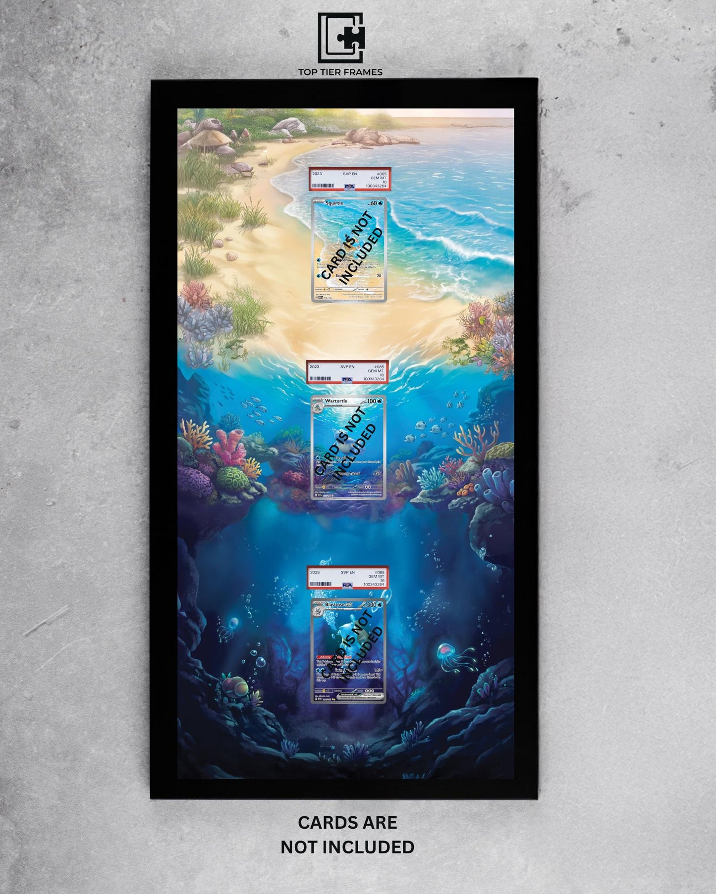 Premium Frame for Squirtle Evolution Line - Panoramic Collector Wall Decor - 22x11 Inch