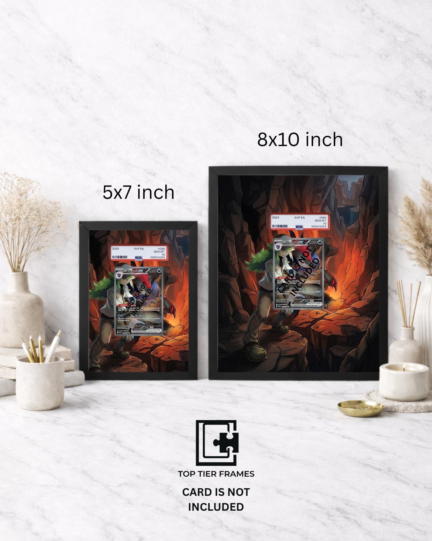 Art Display Frame for N's Zoroark ex | Dark Canyon Card Gallery Showcase | Accessory for Pokémon TCG